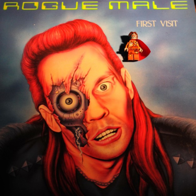 Rogue Male 07